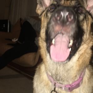 Meet your Posher, Selena